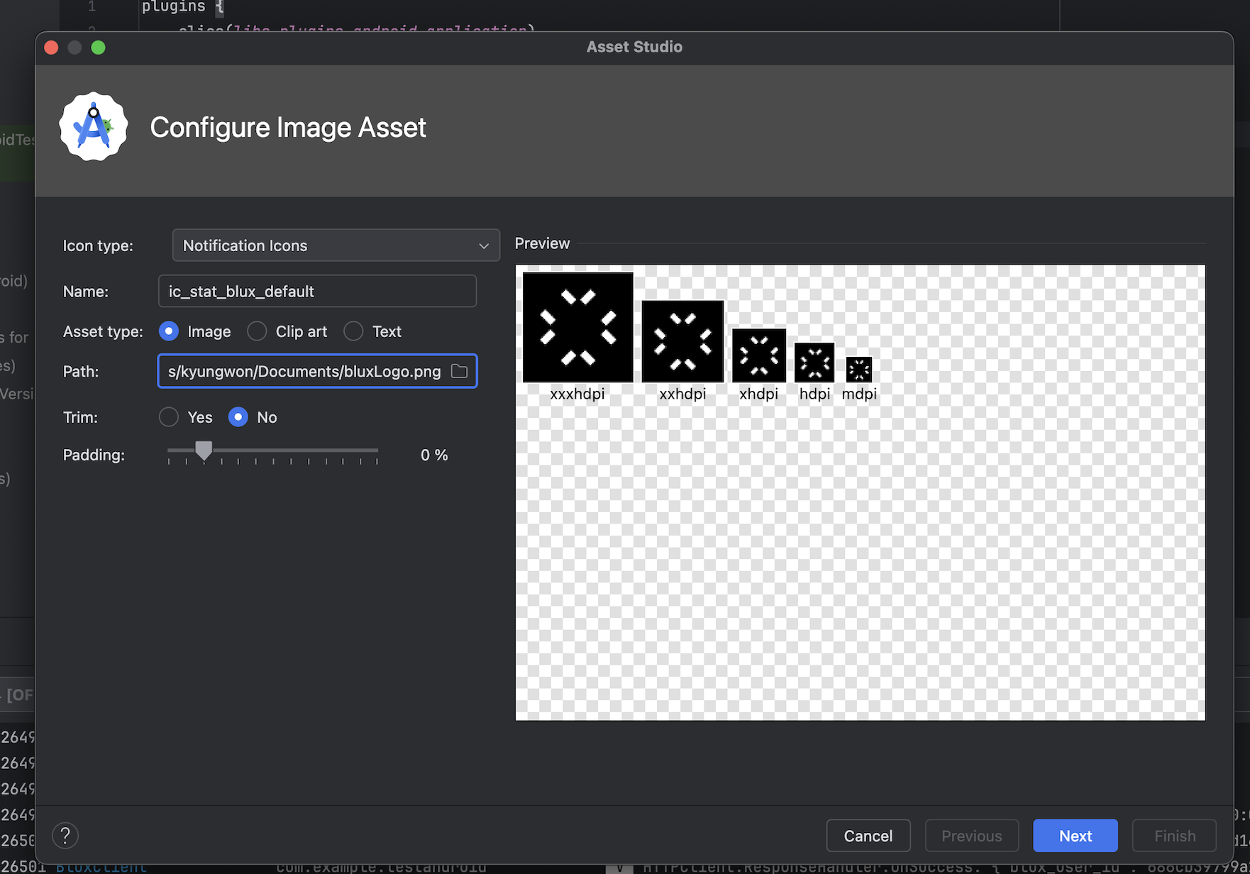Image Asset